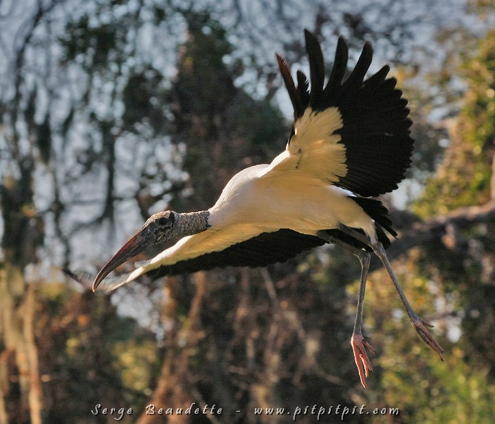 2009-01-05 15-56-34__MG_0383.JPG